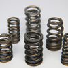 Ferrea 1.225in to 1.570in Dia 1.005/1.43 OD 0.73/1.07 ID Dual w/Damper Valve Spring - Set of 16 - Mammoth Racing -